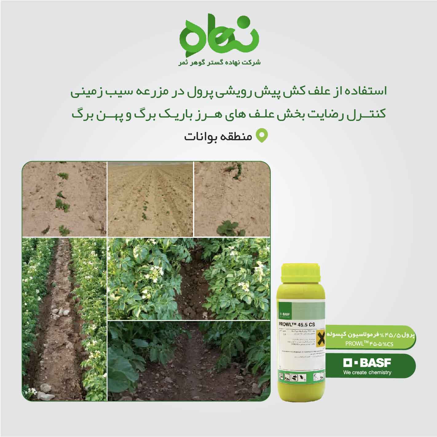 Use of Prowl pre-emergence herbicide in potato fields